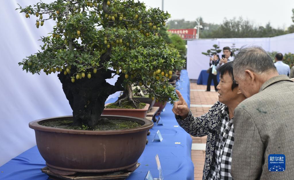 星光(娱乐圈)